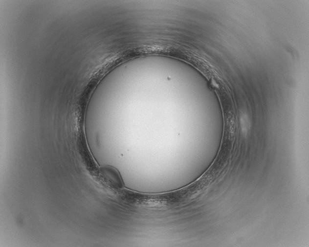 X0000116040546200912041814