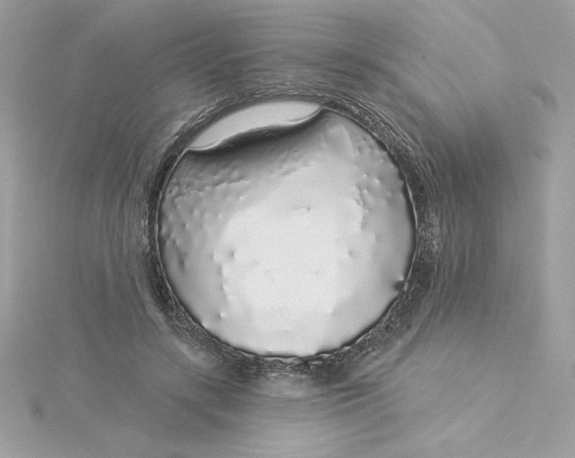 X0000116040547200912041814