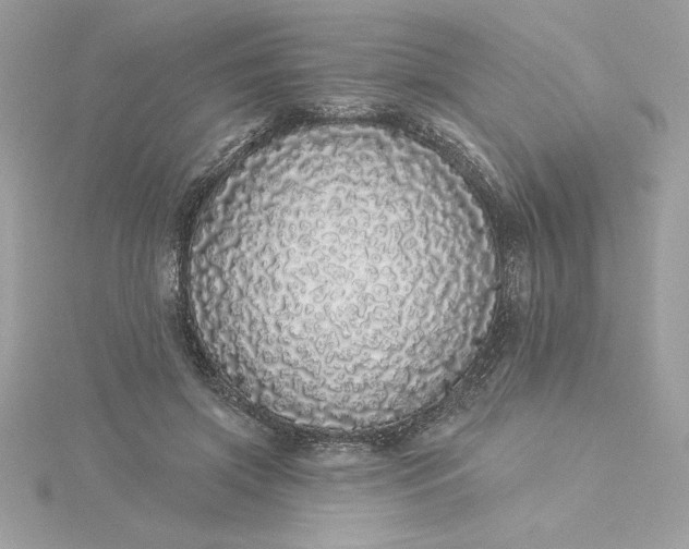 X0000116040549200912041814