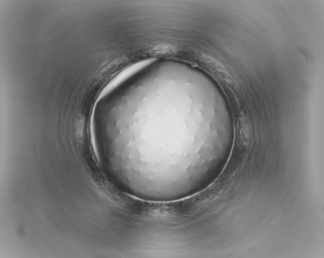 X0000116040550200912041814