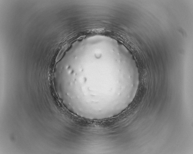 X0000116040551200912041814