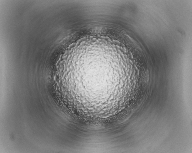 X0000116040553200912041814