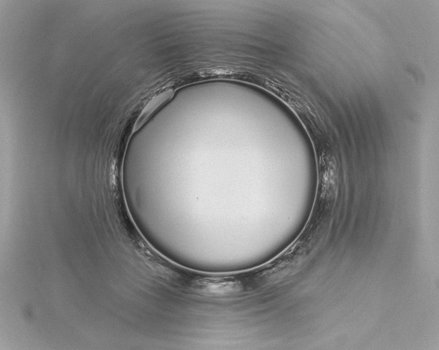 X0000116040555200912041814