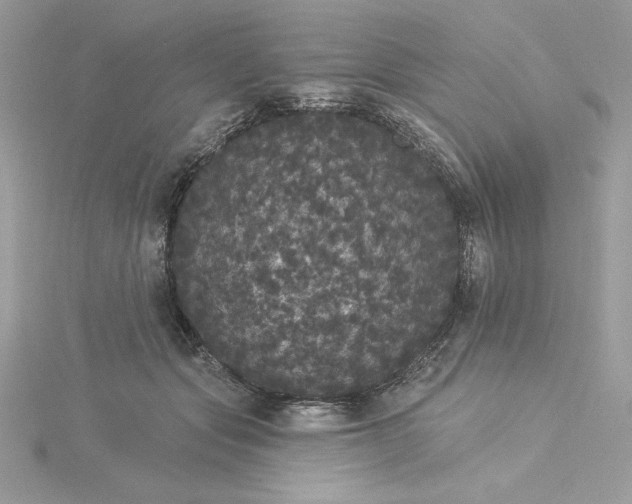 X0000116040557200912041814