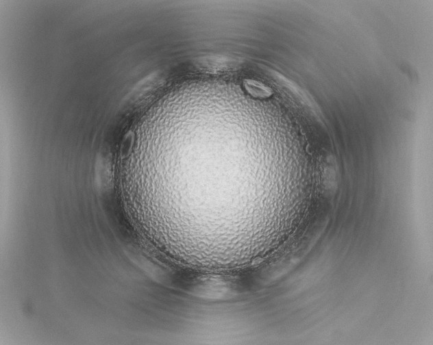 X0000116040558200912041814