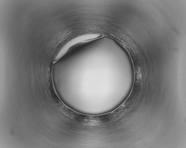 X0000116040559200912041814