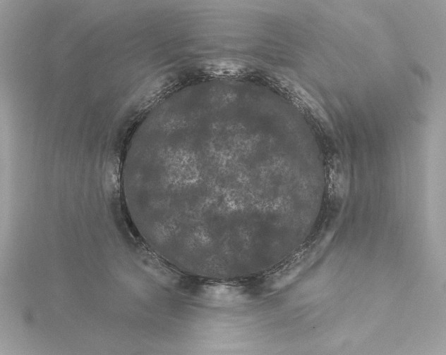 X0000116040561200912041814