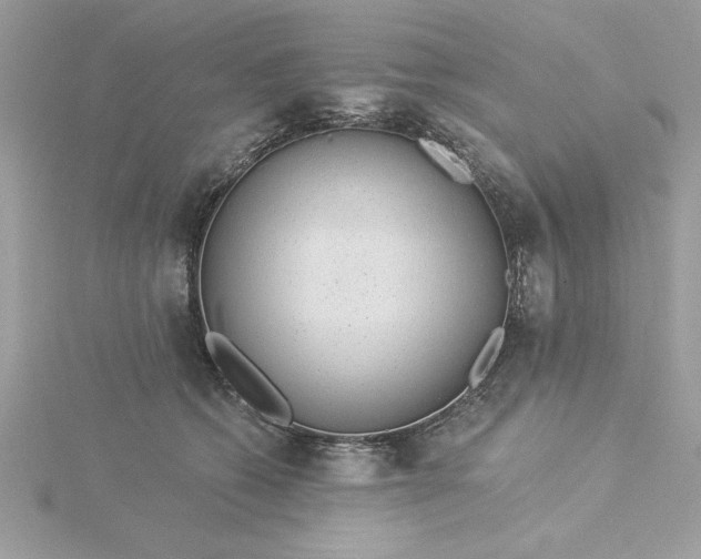 X0000116040562200912041814