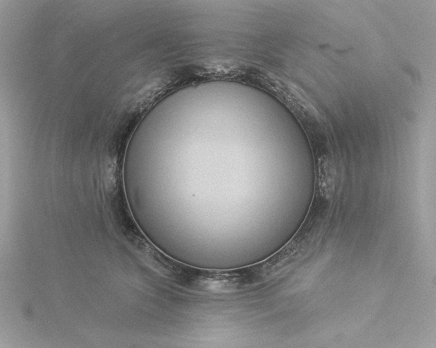 X0000116040563200912041814