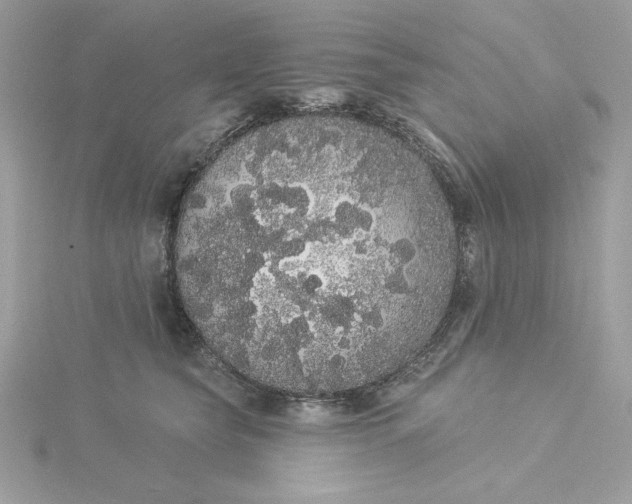 X0000116040565200912041814