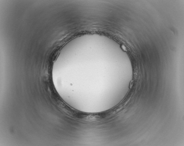 X0000116040566200912041814