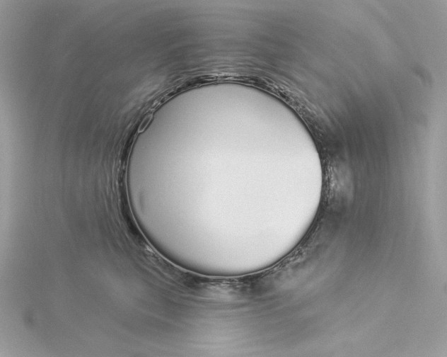 X0000116040567200912041814