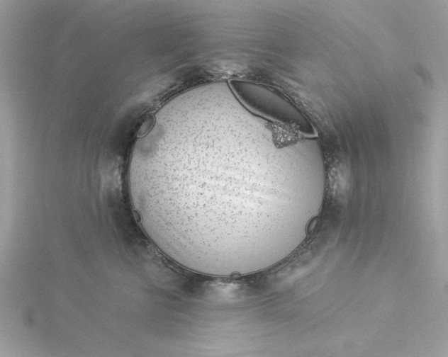 X0000116040570200912041814