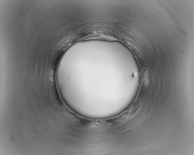 X0000116040571200912041814