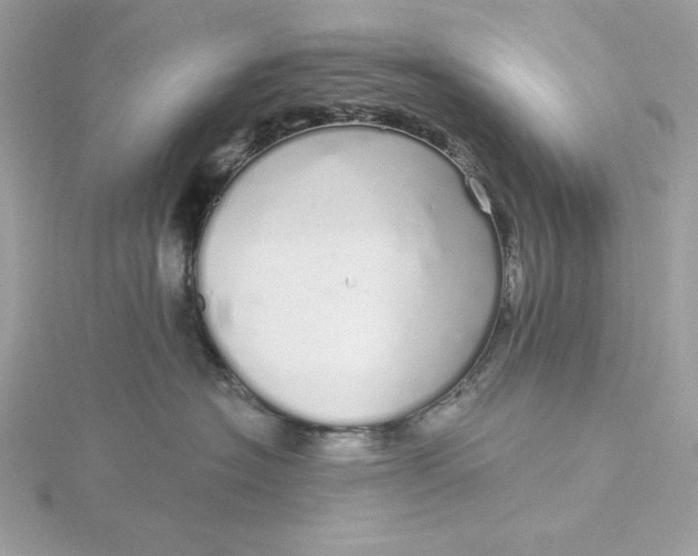 X0000116040574200912041814