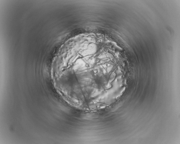 X0000116040575200912041814