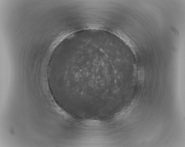 X0000116040577200912041814