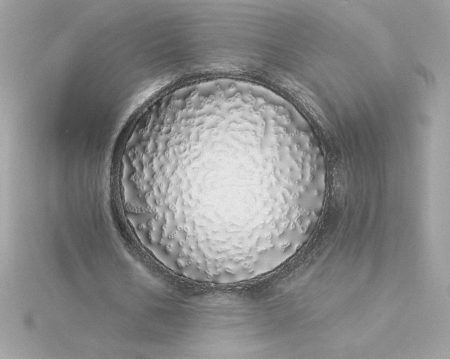 X0000116040578200912041814