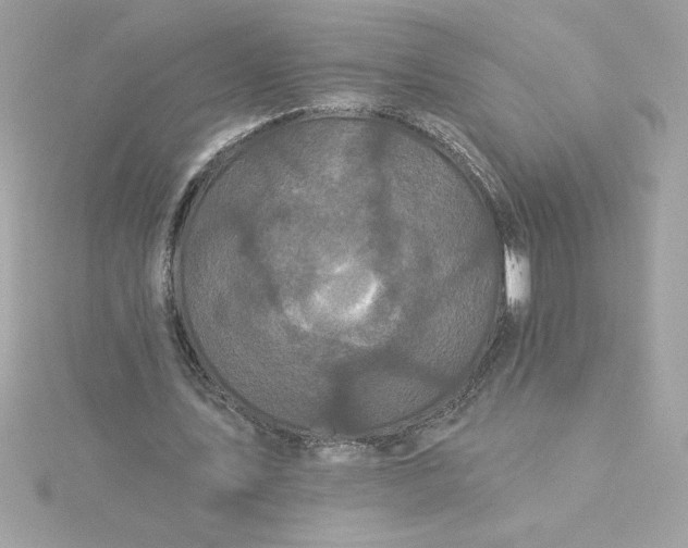 X0000116040579200912041814