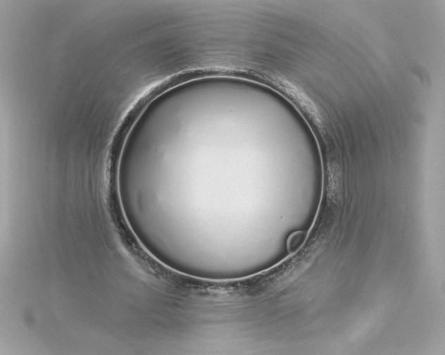 X0000116040580200912041814