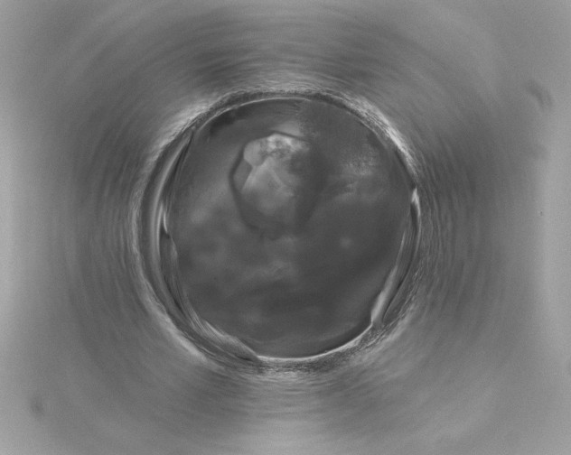 X0000116040581200912041814