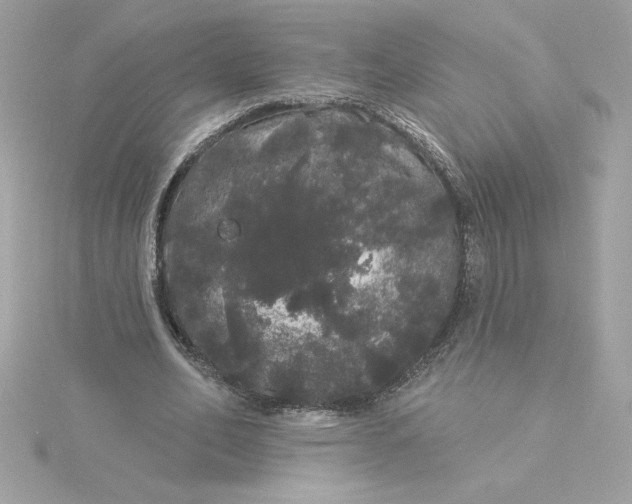 X0000116040582200912041813