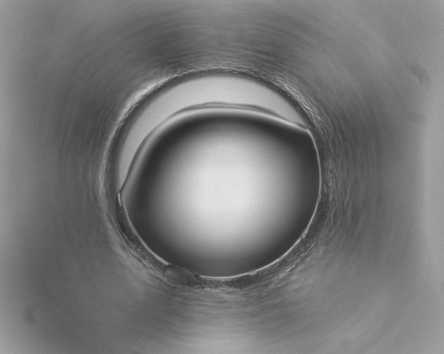 X0000116040583200912041813