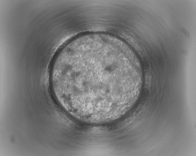 X0000116040584200912041813