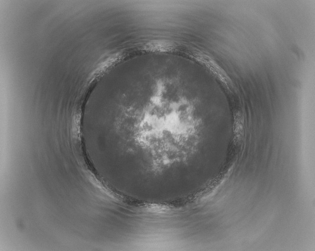 X0000116040585200912041813