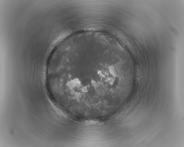 X0000116040586200912041813