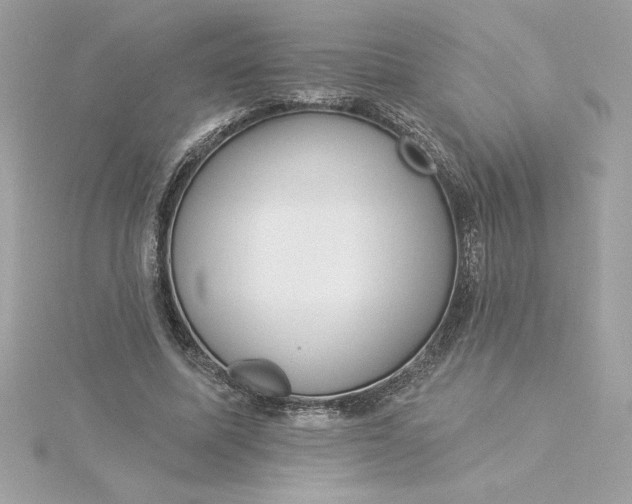 X0000116040587200912041813