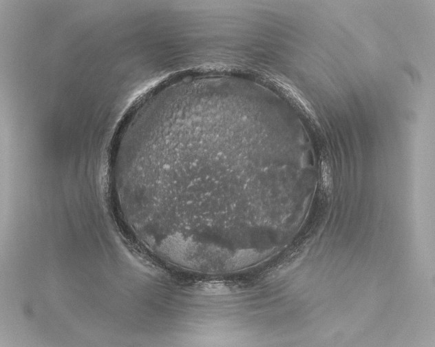 X0000116040588200912041813