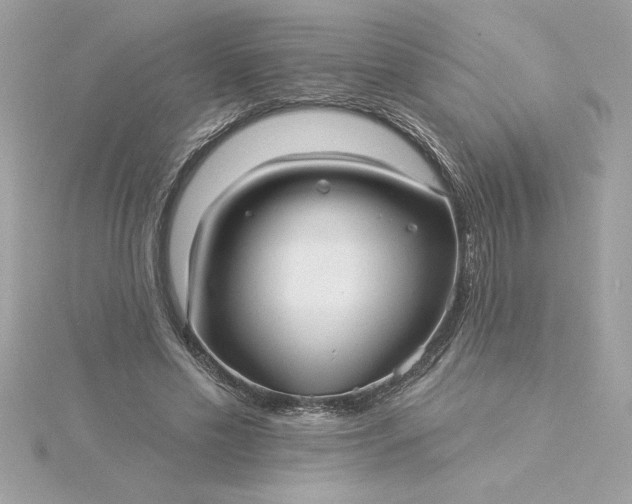 X0000116040589200912041813