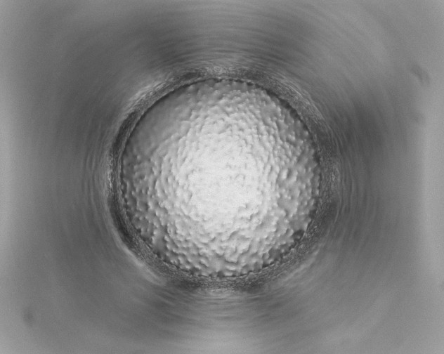 X0000116040590200912041813