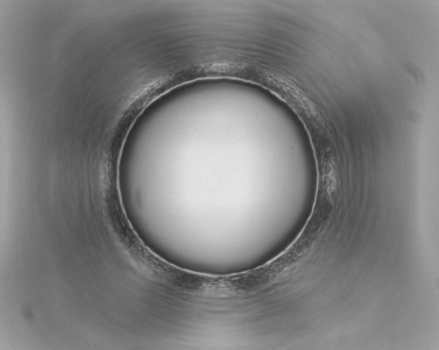 X0000116040591200912041813