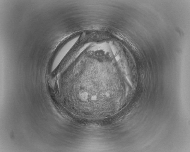 X0000116040592200912041813