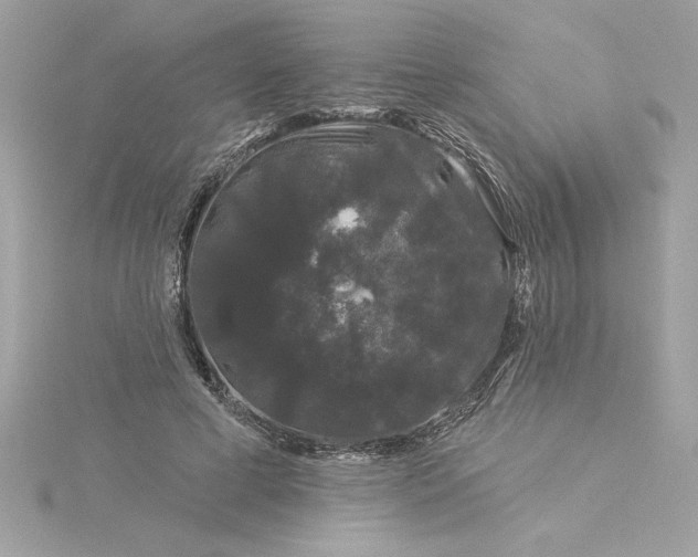 X0000116040593200912041813