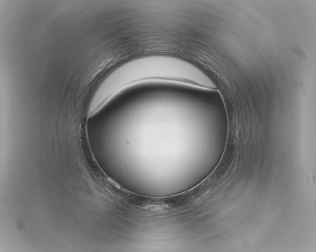 X0000116040595200912041813