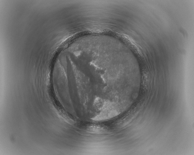 X0000116040596200912041813