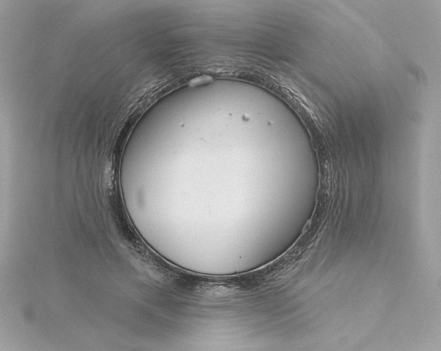 X0000116040597200912041813