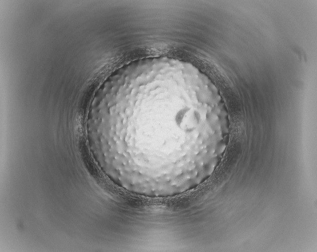 X0000116040598200912041813