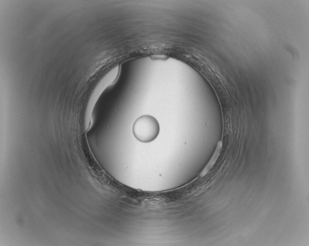 X0000116040599200912041813