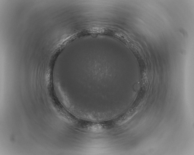 X0000116040600200912041813