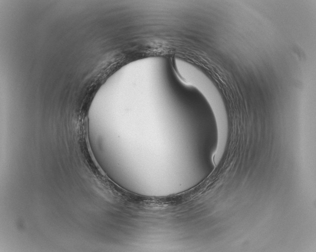 X0000116040601200912041813