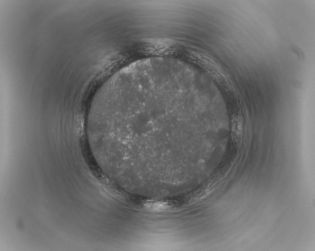 X0000116040602200912041813