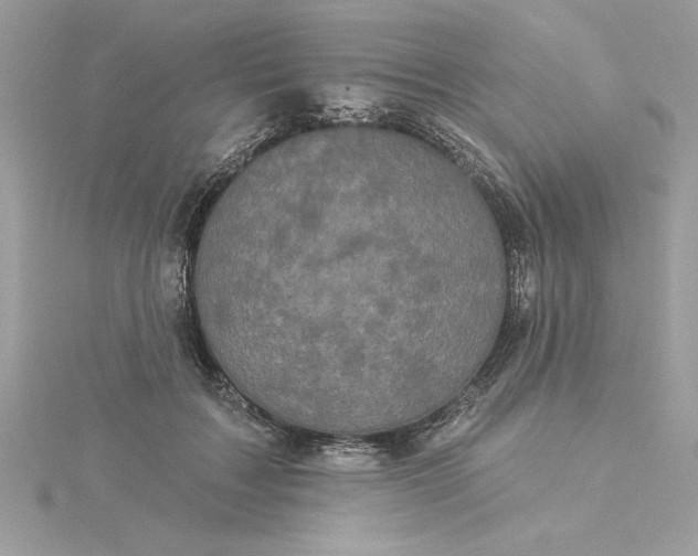 X0000116040603200912041813