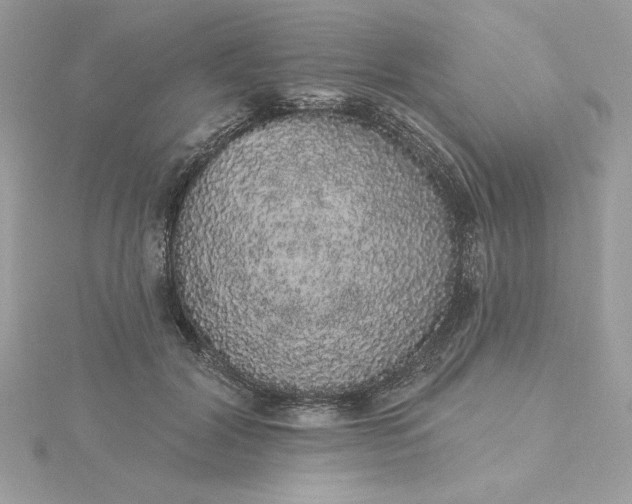 X0000116040604200912041813