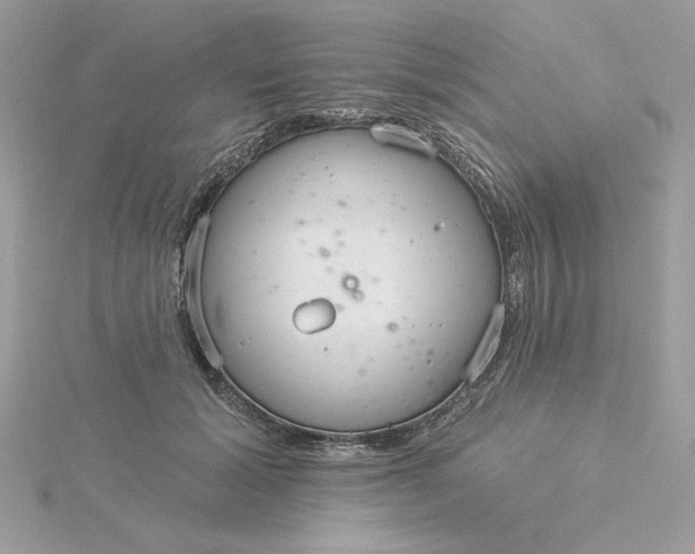 X0000116040605200912041813