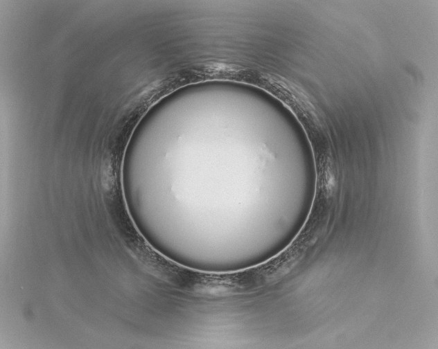 X0000116040607200912041813