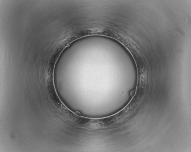 X0000116040608200912041813